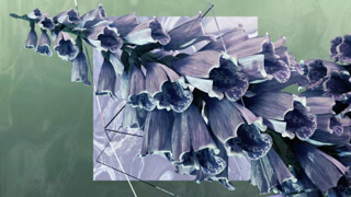 Your browser does not support the <video> tag